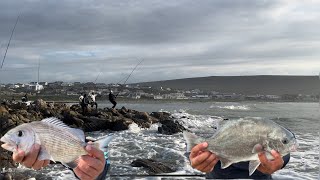 Fishing in Cape AgulhasStruisbaai MUSSELCRACKERGALJOEN [upl. by Ahsinotna]