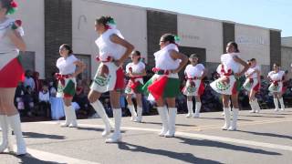 2015 Charro Days Childrens Parade [upl. by Enella]