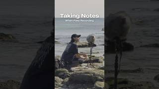 Tips for Field Recording fieldrecording asmr nature naturerecording sfx [upl. by Silvain]