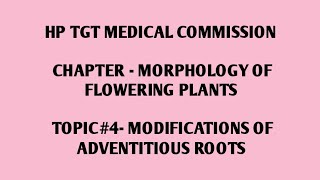 Hp tgt medical commission important topic  Modification of ADVENTITIOUS ROOTS  Neet biology [upl. by Yort]