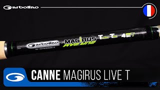 CANNE GARBOLINO MAGIRUS LIVE T [upl. by Annid]