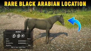 How To Get Rare Black Arabian Horse In Chapter 2 For Free With Location  RDR2 [upl. by Key]