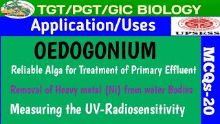 Set01MCQS OEDOGONIUM Application and Uses and Cell types in Thallus [upl. by Storer]