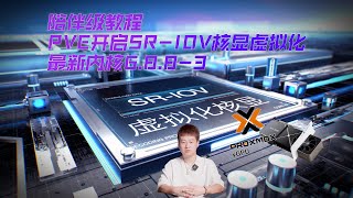 2024陪伴级教程PVE最新内核版本6883下正确开启SRIOV虚拟化核显方式 [upl. by Roskes]