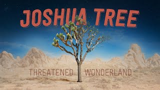 Joshua Tree Threatened Wonderland [upl. by Kelsey]