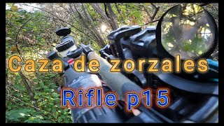 Caza de Zorzales con rifle de aire P15 [upl. by Milla826]