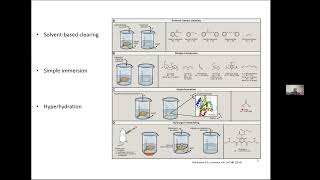 20240206 Clearing and expansion microscopy [upl. by Mikah]