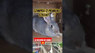 COELHO NOVO INTEGRANTE DO CANAL CRIATÓRIO RNcoelho [upl. by Eillehs]