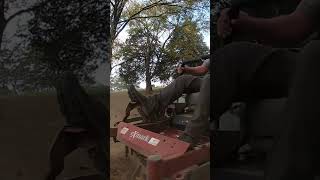 Exmark LAZER Z Mower Makes Leaf Cleanup Look Easy PART 2 🍁 LeafCleanup Exmark fyp shorts [upl. by Prebo219]