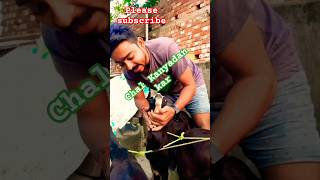 Chal Kanyadan kar✨ bollywood song shorts video [upl. by Farmann]