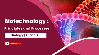 Biotechnology  one shot  class 12  N c e r t based  Part 1 [upl. by Carisa]