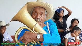 la cumbia del muerto banda de viento primavera [upl. by Eniliuqcaj]