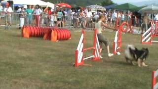 CHAPKA Eurasier manche 3 agility cat D [upl. by Adnaw256]