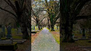 Ross Bay Cemetery cemetery oldcemetery graveyard britishcolumbia shorts [upl. by Eenad]