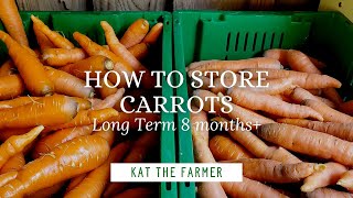 How To Store Carrots [upl. by Ysiad]