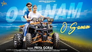 O sanam Official Video Priya Gorai  Khushi  Pratap Harsh Upadhyay  Video Song 2024Mkdilip [upl. by Nnep]