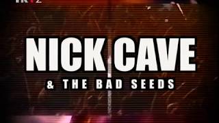 Nick Cave amp The Bad Seeds  Zagreb Croatia 2008 [upl. by Luebke]