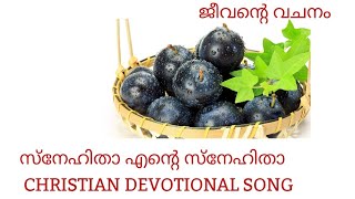 സ്നേഹിതാ എന്റെ സ്നേഹിതാSnehitha Ente Snehitha Christian Devotional Song [upl. by Lehrer]