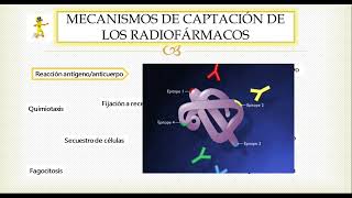 Medicina nuclear ¿Qué son los RADIOFÁRMACOS [upl. by Macleod]