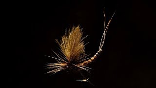 Vulgata Dun  Fly Tying Tutorial [upl. by Llaccm]