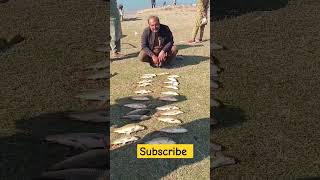 Khan pur dam Big fish hunting bestfishingtechniques [upl. by Nino]