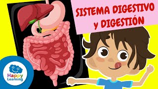 El Sistema Digestivo Cómo Funciona Tu Cuerpo  Happy Learning 🍏🧠 [upl. by Hcaz415]