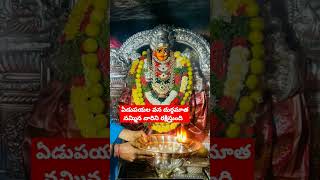 ఏడుపయల వన దుర్గమాత నమ్మిన వారిని సదా రక్షిస్తుంది  edupayala durgamma song🙏🌹🙏 [upl. by Illehs796]