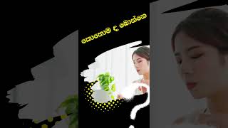 Sinhala Weight Loss  සති දෙකෙන් කෙට්ටු වෙන්න බොන බෙහෙතorlistat 120 mg [upl. by Nanoc]