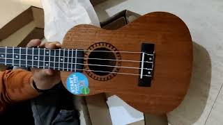 Kadence Ukulele  Concert size 23  Unboxing Best Ukulele to buy in India for Beginners [upl. by Booze385]