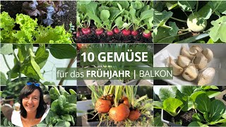 10 GEMÜSE die du im FRÜHJAHR auf dem BALKON anbauen kannst [upl. by Aubigny207]