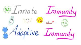 Innate Immunity vs Adaptive Immunity  Complement System  Physiology Lectures Series [upl. by Norton]