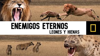 EL MEJOR DOCUMENTAL de la NAT GEO  NTWADUMELA  EL ASESINO DE HIENAS [upl. by Anassor]