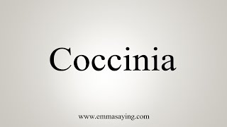 How To Say Coccinia [upl. by Slyke]