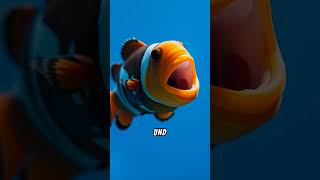 Clownfische Mehr als nur Nemo 🐠 [upl. by Groos]