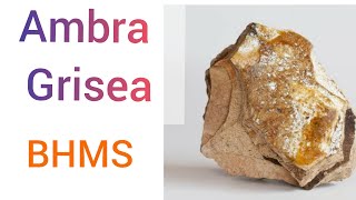 Ambra Grisea  Easy homoeopathy [upl. by Morris]