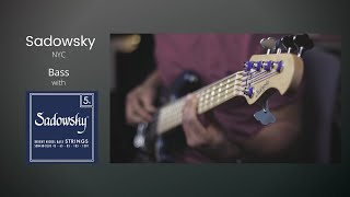 Sadowsky NYC Satin Bass  Sadowsky Blue Label Nickel Strings Great [upl. by Hannej]