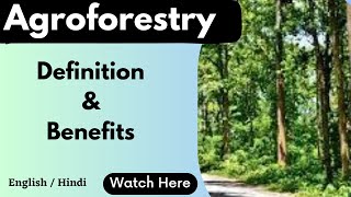 Agroforestry  definition amp Benefits  scoringscience4120 [upl. by Mikkanen]