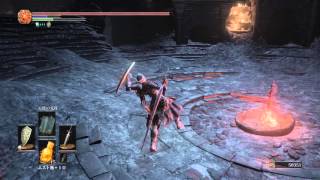 DARK SOULS 3 Twin Princes Greatsword [upl. by Emogene]