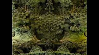 Shpongle  Divine Moments Of Truth Original Russian Bootleg Mix [upl. by Salsbury]