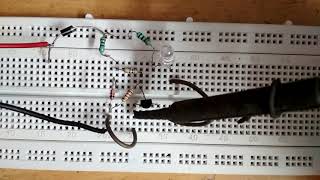 LED Temperature Indicator using a Single Transistor [upl. by Ahsieka827]