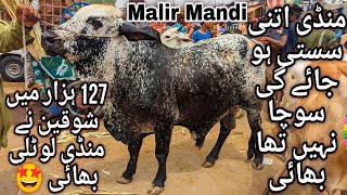 Malir Mandi Karachi Cattle Latest Rates Update 4 June 2024  Cow Mandi 2024  Bakra Eid Season 2024 [upl. by Cammi]