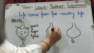 Louis Pasteur Experiment evolution  Origin Of Life12 class [upl. by Noyar]