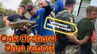 Oak orchard Dam report 8 Busted by the DEC [upl. by Airottiv]