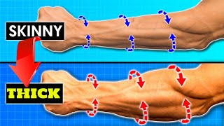 Build Massive Forearms Top Exercises amp ScienceBacked Tips For Skinny Guys Too [upl. by Sparrow]