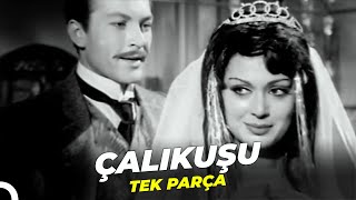 Çalıkuşu  Türkan Şoray Yeşilçam Filmi Tek Parça [upl. by Leamhsi]