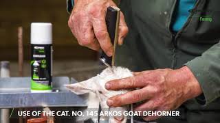 Use of the Cat No 145 arkos goat dehorner by Express Farming [upl. by Jeanne748]