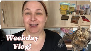 Weigh in  A look in my fridge  Mental Health update Weekday Vlog [upl. by Anileve]