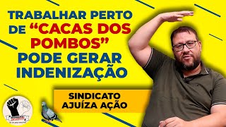 quotADICIONAL DE INSALUBRIDADEquot PARA QUEM TRABALHA EM BARRACÃO DO BB INFESTADO DE POMBOS [upl. by Mcintyre326]