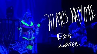 Hiatus Kaiyote  Rose Water live The Salt Shed [upl. by Niwred892]