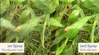 The Benefit of Adjuvants in a Foliar Spray Program [upl. by Aiym706]